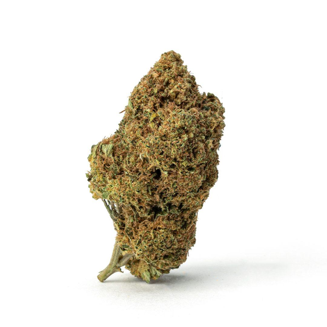 High-THC Flower – Sex Panther